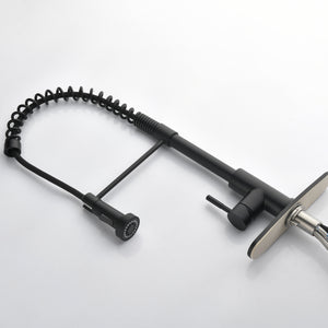 Solid Brass Spring Kitchen Sink Faucet